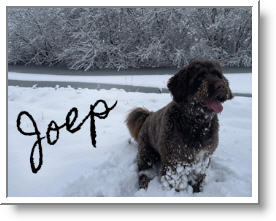 joep
